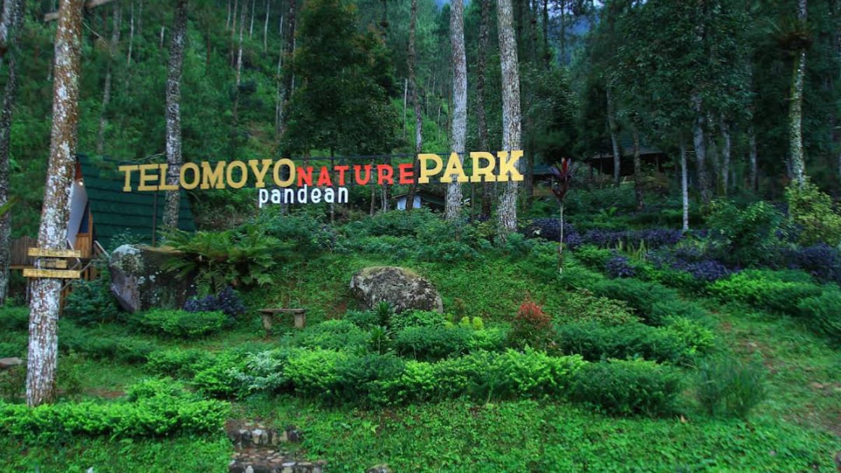 Telomoyo Nature Park: Menikmati Keindahan Alam di Lereng Gunung Merapi